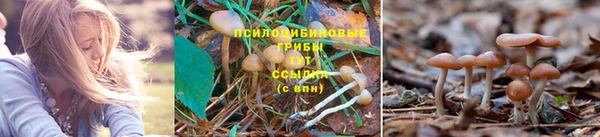 винт Беломорск